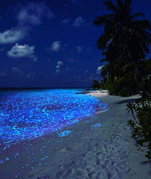 tres-click-glowy-beach-bay-strand-leuchtend-urlaub