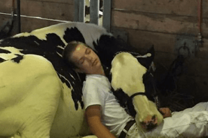 Jeremy Miner teilte ein Foto von Sohn Mitchell und seiner Kuh Audri und es ging viral.