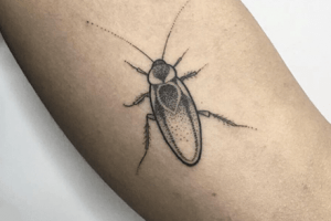 Neuer Tattoo-Trend: Insekten-Tattoos