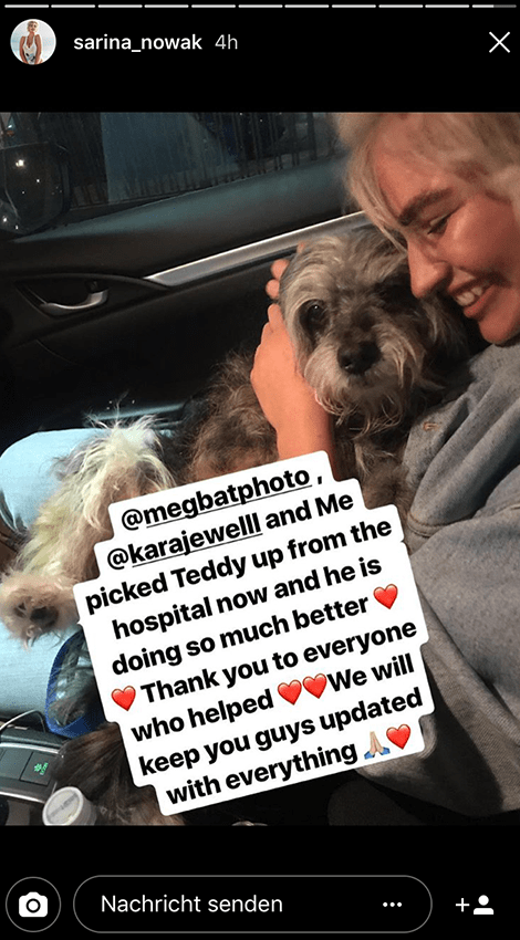 Sarina Nowak hat ein großes Herz und rettet einen Straßenhund.