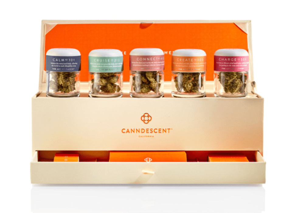 Canndescent verpackt Marihuana in einer schönen Box, sodass man glauben könnte, es sei ein High-End Luxusprodukt, dass man sich nie im Leben leisten könne.