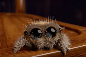 Wir mögen ja Spinnen eigentlich nicht. Aber die animierte Spinne Lucas heilt womöglich unsere Spinnen-Phobie.