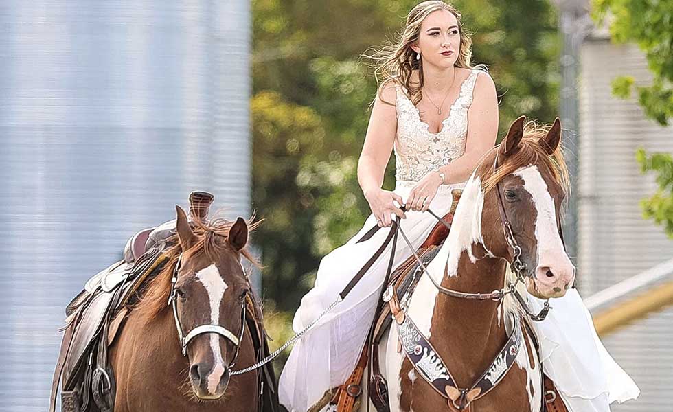 Dieses Pferd stiehlt der Braut definitiv die Show