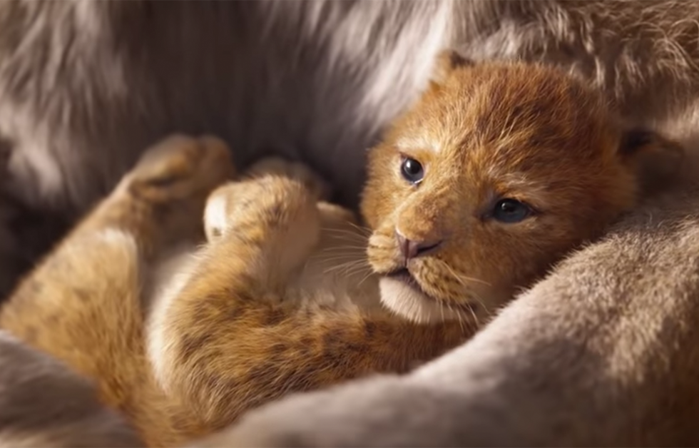 Der 1. Trailer zur Realverfilmung von "Der König der Löwen" ist da - und wir haben schon jetzt Gänsehaut!