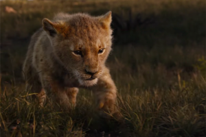 Ein neuer Trailer zu „König der Löwen“ ist raus – mit Simba, Pumbaa und einfach ALLEN!!!