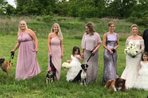 Blumen? Diese Braut schreitet lieber mit Hunden vor den Traualtar – und das ist nicht mal das Beste
