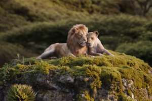 Ein neuer „König der Löwen“-Trailer ist da – und can you feel the love tonight?