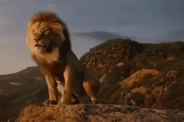 Du hast „König der Löwen“ schon damals geliebt? Dann wird dich das Real-Life-Remake völlig umhauen
