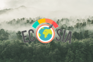 ecosia-suchmaschine-baume