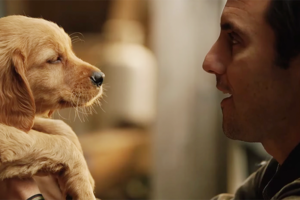Ja, der neue Hundefilm „Enzo“ ist rührend, aber diese eine Sache hat ihn trotzdem für mich ruiniert