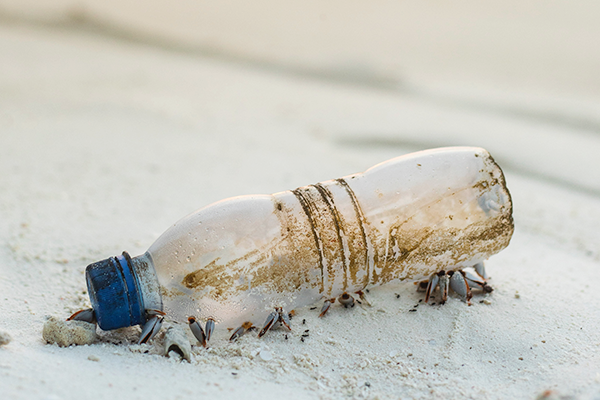 strand-plastikflasche