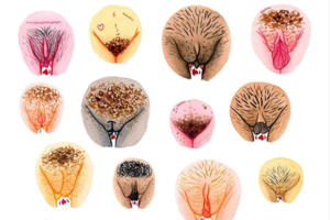vulva-galerie-diversitat