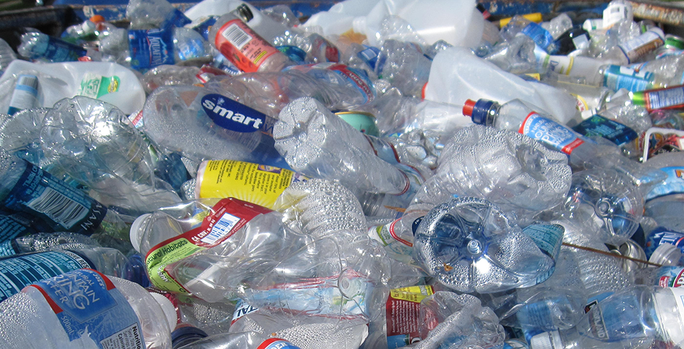 plastikflaschen-alternative-pflanzlich