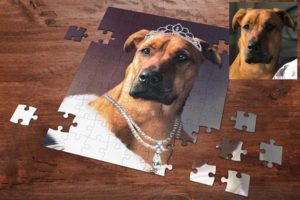 puzzle-portraet-hund