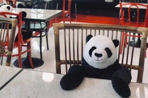 restaurant-pandas