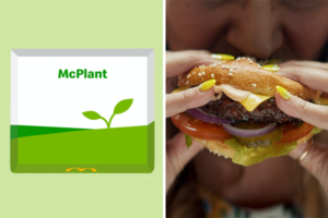 fast-food-mcplant