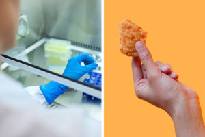 chicken-nuggets-labor-zulassung